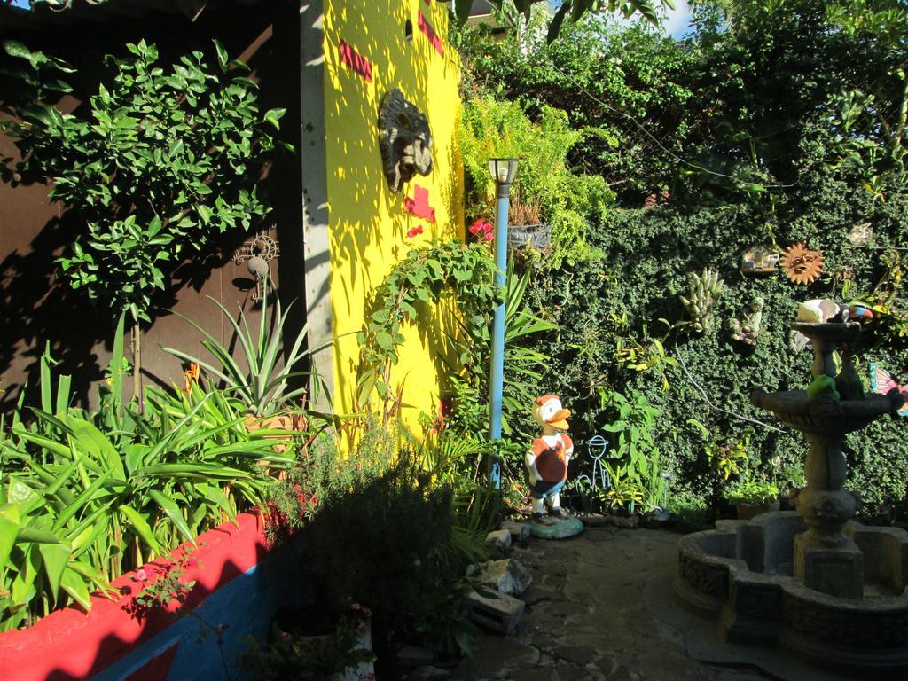 Hotel San Mateo San Salvador Extérieur photo